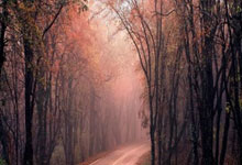 [摔跤]中国女跤再添三枚奖牌.