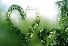 [摔跤]中国女跤再添三枚奖牌.