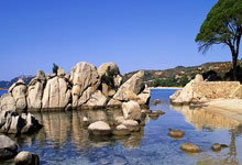 熊猫体育官网：皇马vs皇社：维尼修斯、贝林厄姆首发，姆巴佩替补.